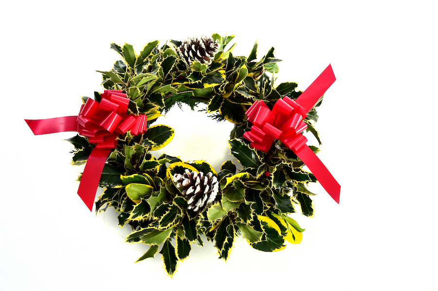 Variegated Holly Wreath 